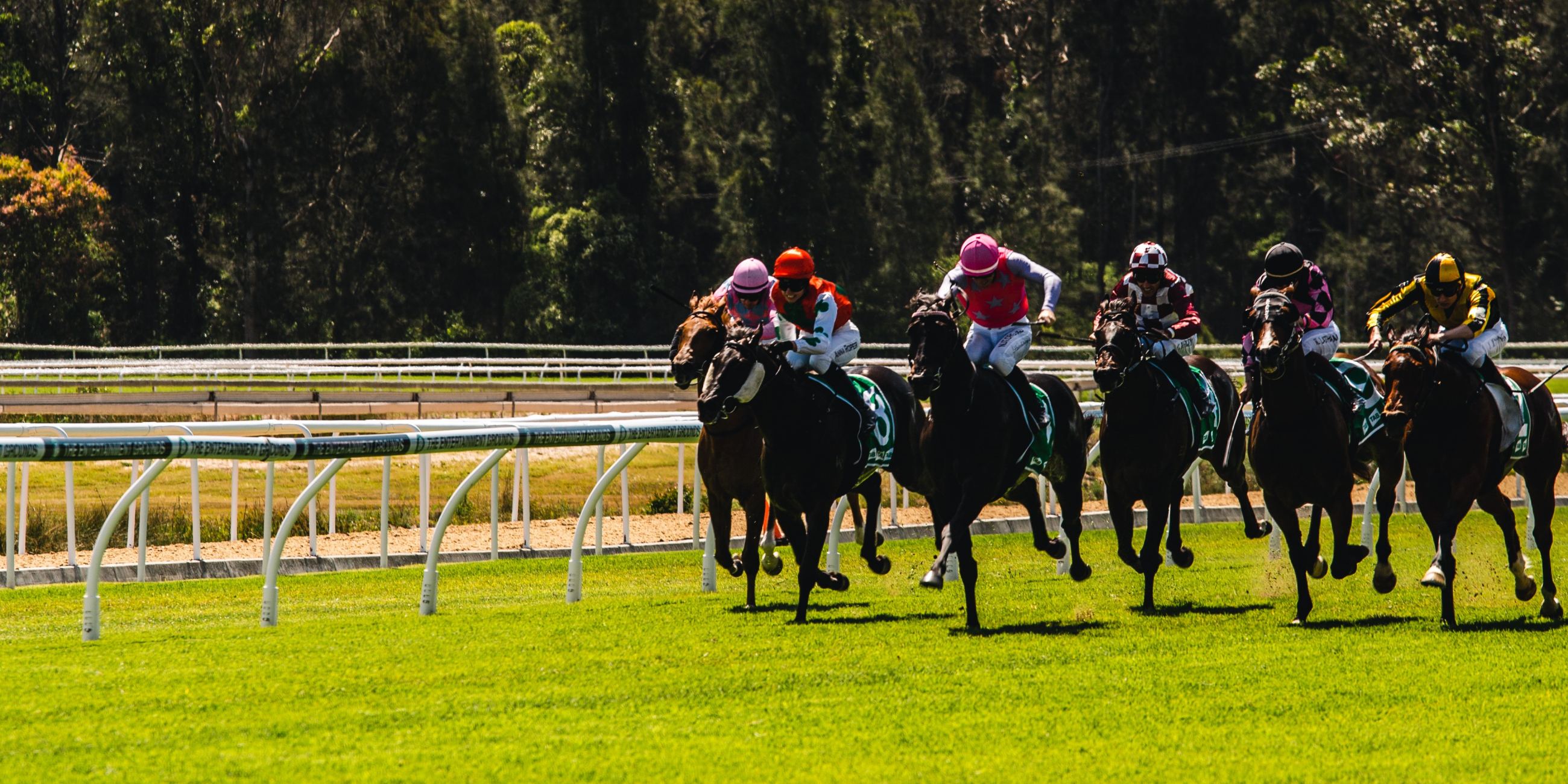 THE ENTRANCE LEAGUES RACE DAY