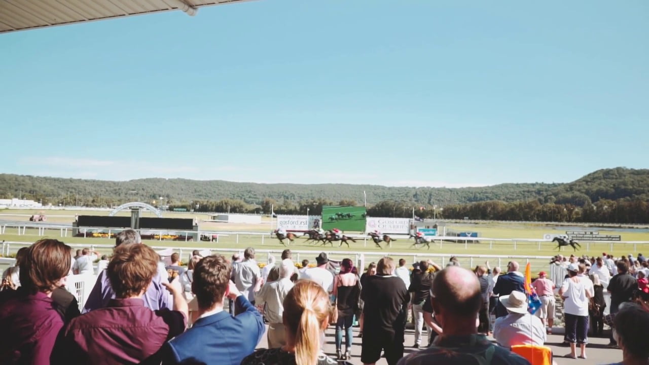 TERRIGAL WAMBERAL SHARKS RL RACEDAY